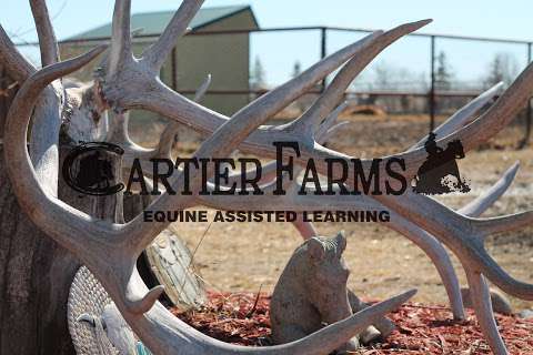 Cartier Farms Equine Assisted Learning